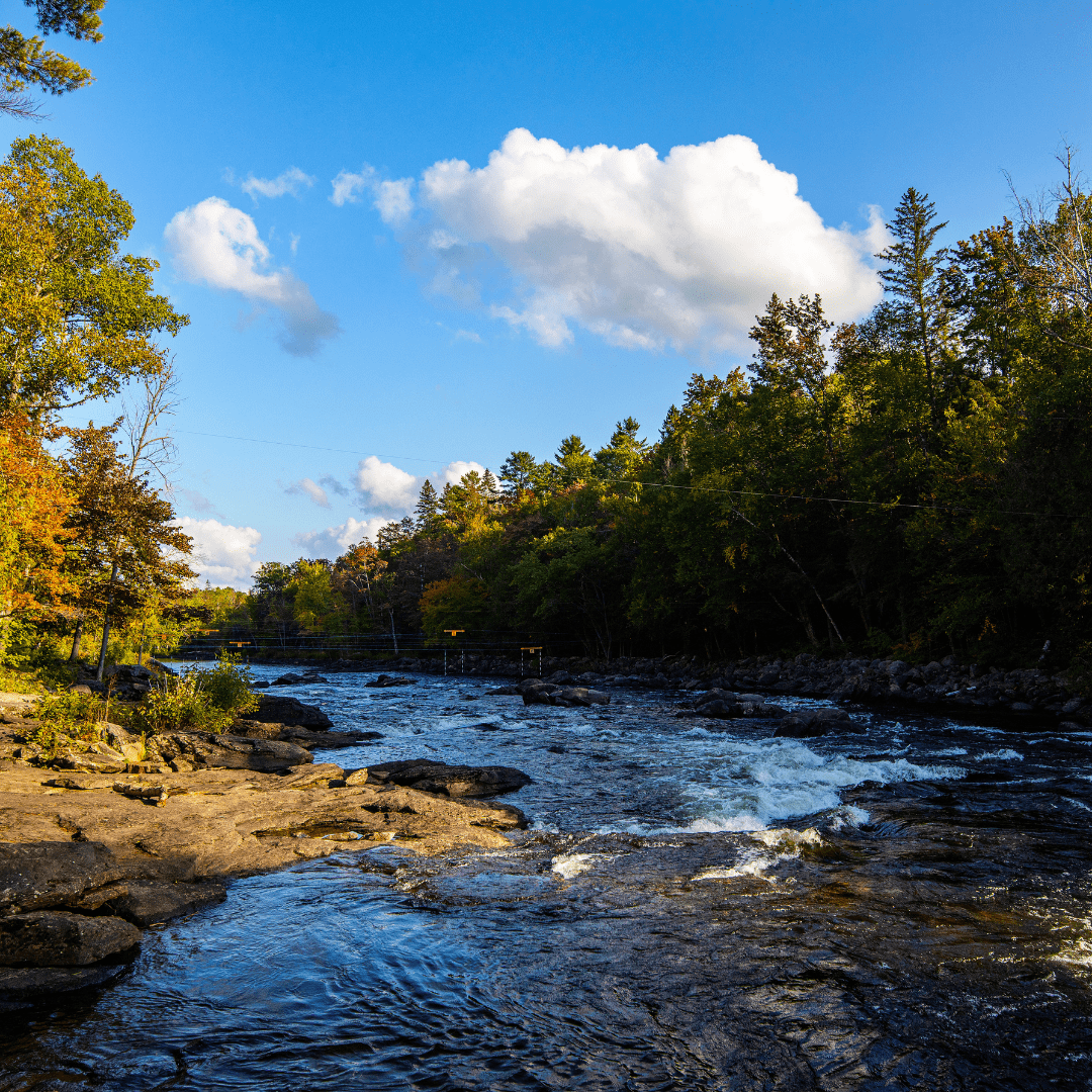 A Beautiful Whitewater Paddling Testimonial by Roni Hoffman